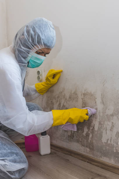 Best Indoor Air Quality Assessment  in Highland, IN
