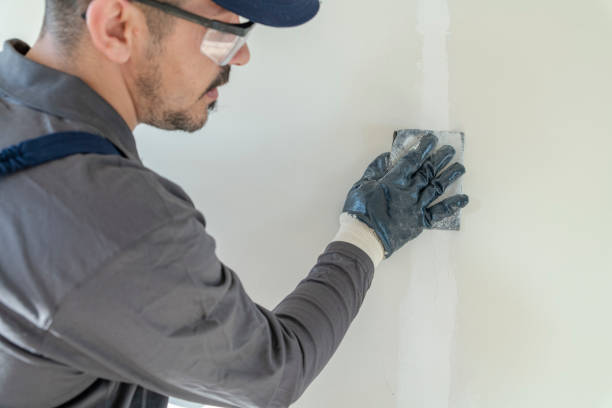 Best Mold Prevention Services  in Highland, IN