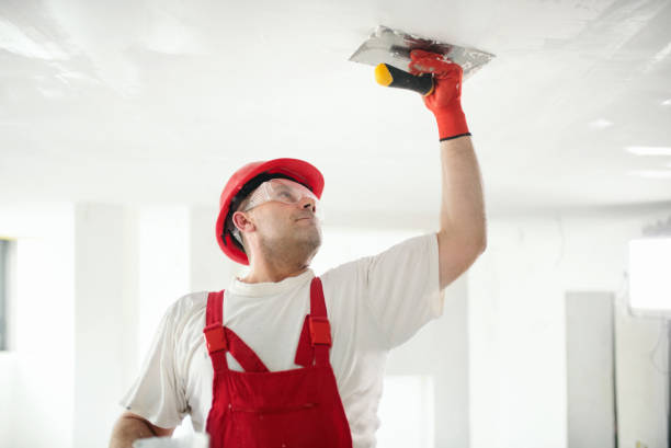 Mold Remediation for Vacation Homes in Highland, IN