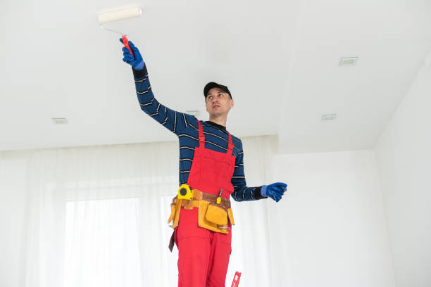 Best Water Damage & Mold Remediation  in Highland, IN
