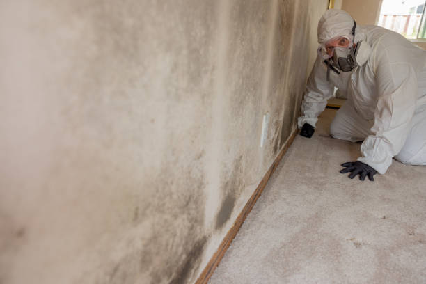 Best Post-Construction Mold Inspection  in Highland, IN