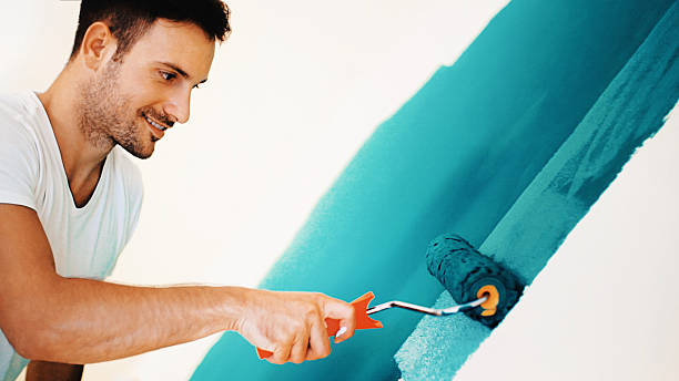 Best Crawl Space Mold Remediation  in Highland, IN