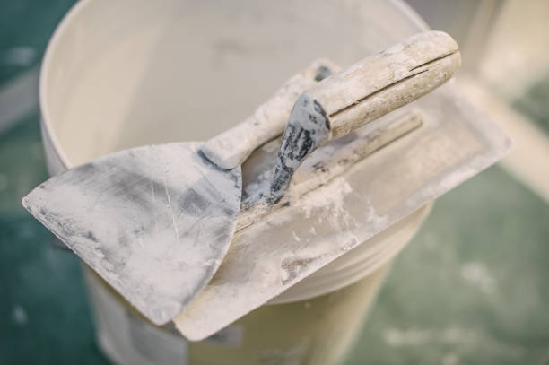 Best Mold Damage Restoration  in Highland, IN